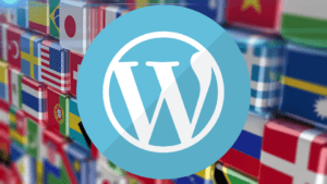 WordPress Admin Paneli Dilini Değiştirme