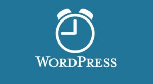Wordpress Zamanlama Kaçırıldı