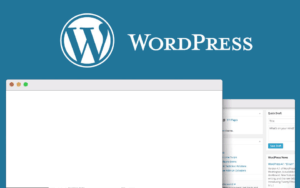 WordPress Admin Paneli Beyaz Sayfa Sorunu