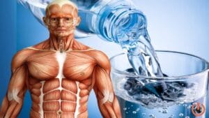 İnsan vücudunda su oranı nedir