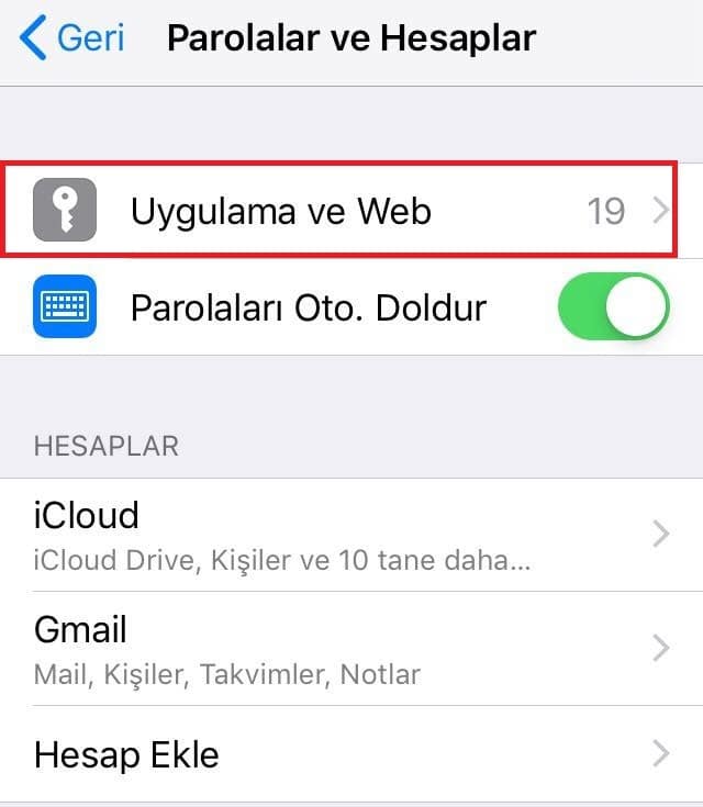 Iphone Ve Ipad Uygulama Ve Web Sifrelerini Gorme